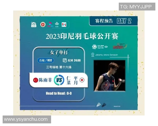 深圳羽毛球队技术分析与发展策略探讨之焦点研究