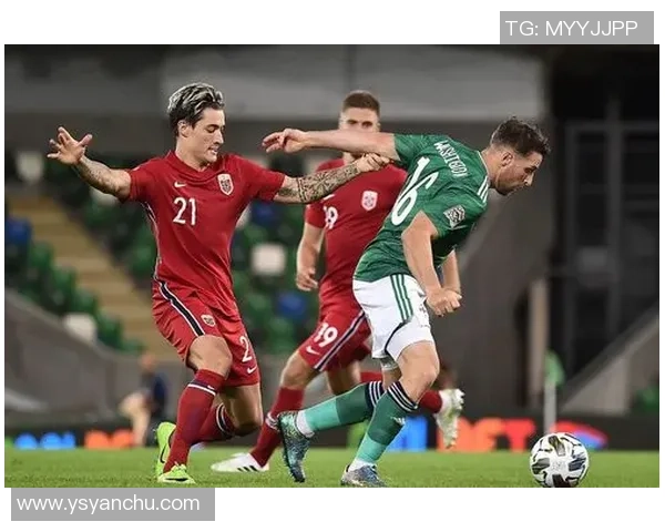 捷克与罗马尼亚精彩对决直播全程回顾与分析